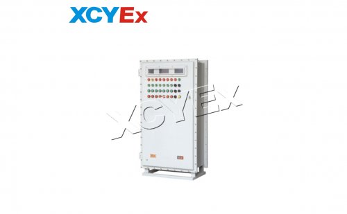 BXK-T系列非標箱(IIB/DIP)